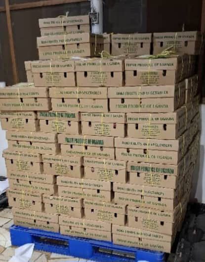 Stacked fresh produce cargo boxes
