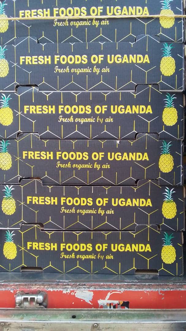 Fresh foods boxes prepared for air cargo
